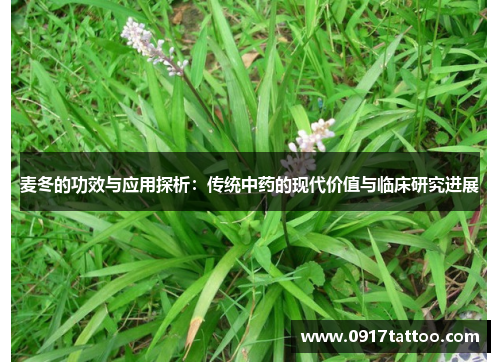 麦冬的功效与应用探析:传统中药的现代价值与临床研究进展